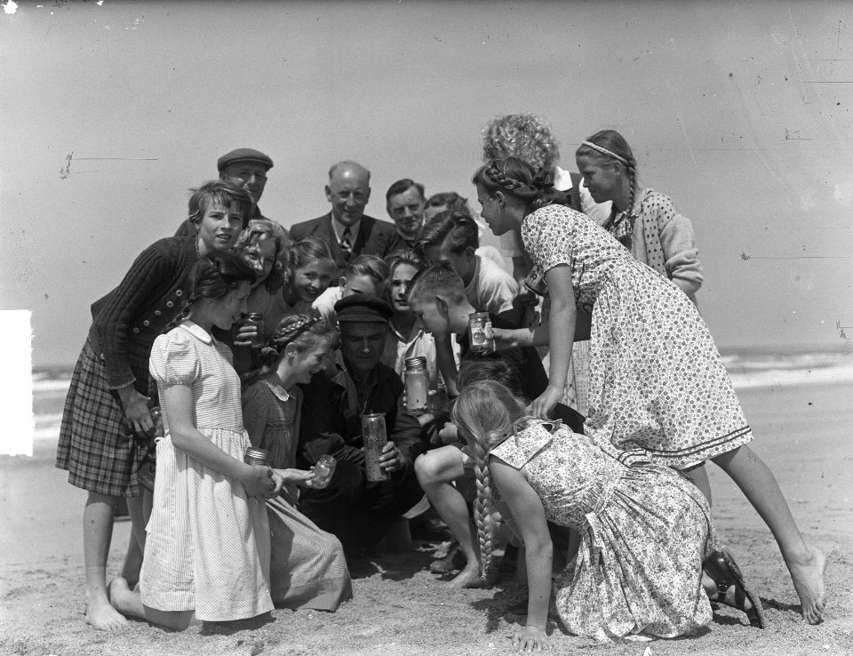 Publiek zoekt naar coloradokevers op het strand van Zandvoort, Bestanddeelnr 903-9789