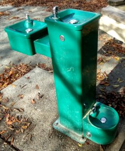 Public water fountain in Cupertino with spout for dogs