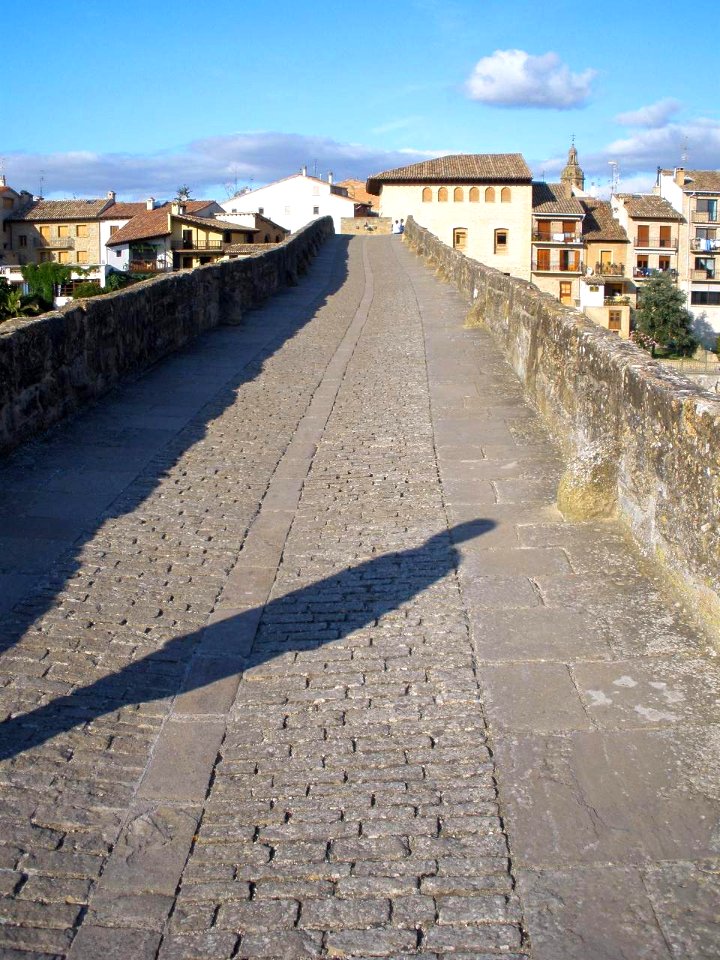 Puente la Reina - Puente románico sobre el Arga 4