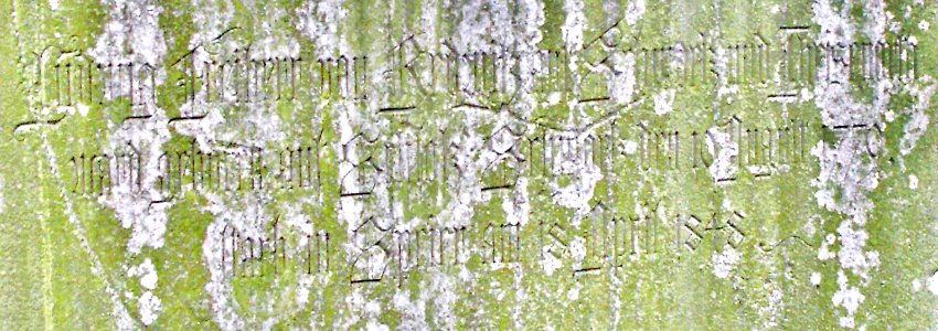 Redwitz Grabinschrift Speyer