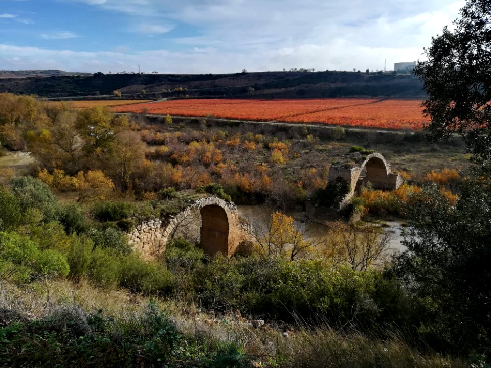 Puente Mantible con dos arcos sobre el Ebro