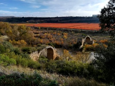 Puente Mantible con dos arcos sobre el Ebro