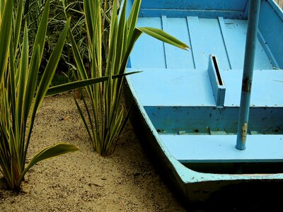 Grass sand beach