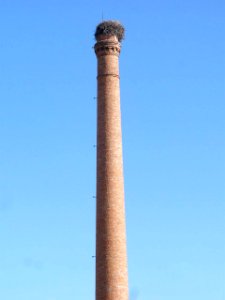 Puente la Reina 02
