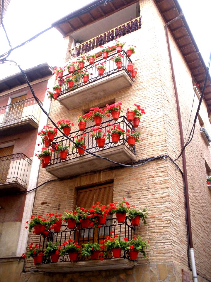 Puente la Reina 20