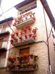 Puente la Reina 20