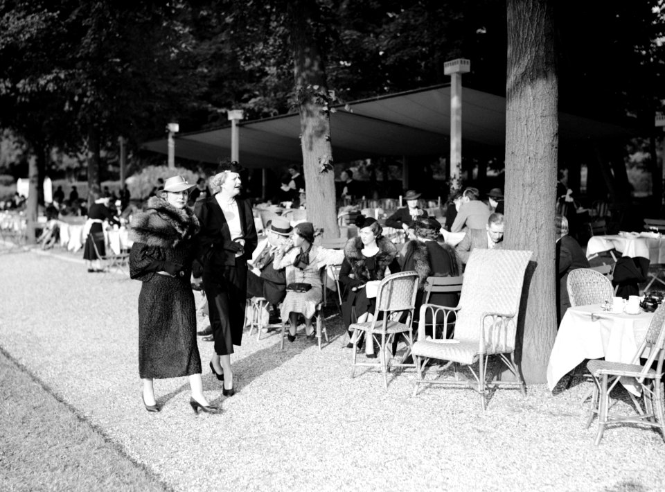 Publiek in het park, Bestanddeelnr 255-8695