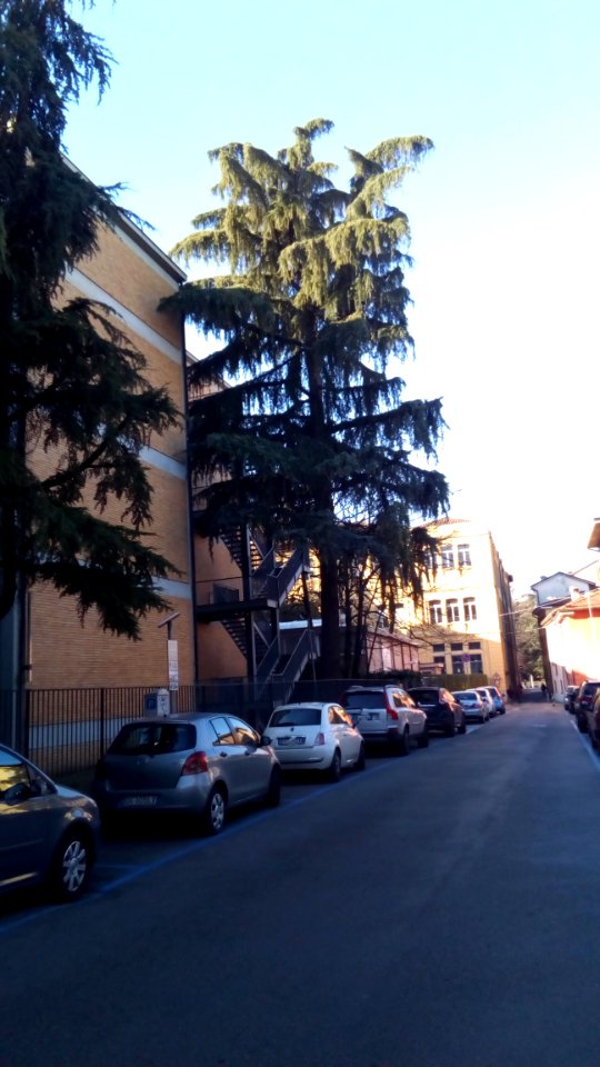 ReggioE.1