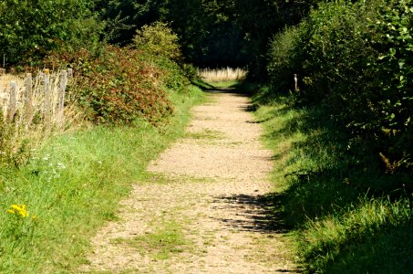 Public-footpath-Rothamsted-20050828-004 photo