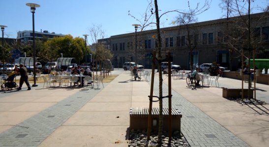 Public park in Palo Alto California