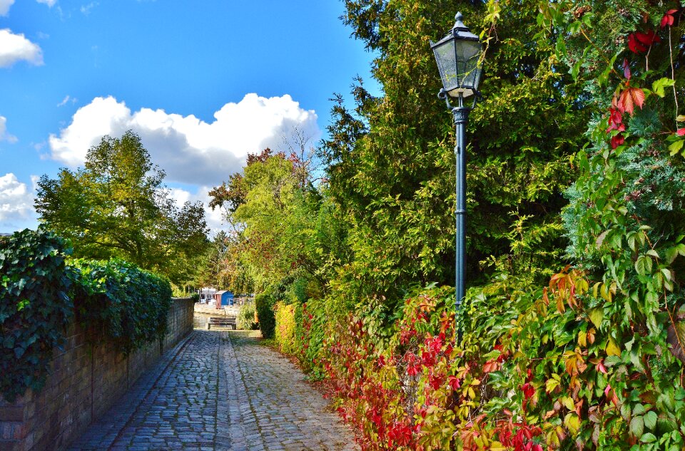 Idyllic autumn romantic