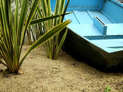 Grass sand beach