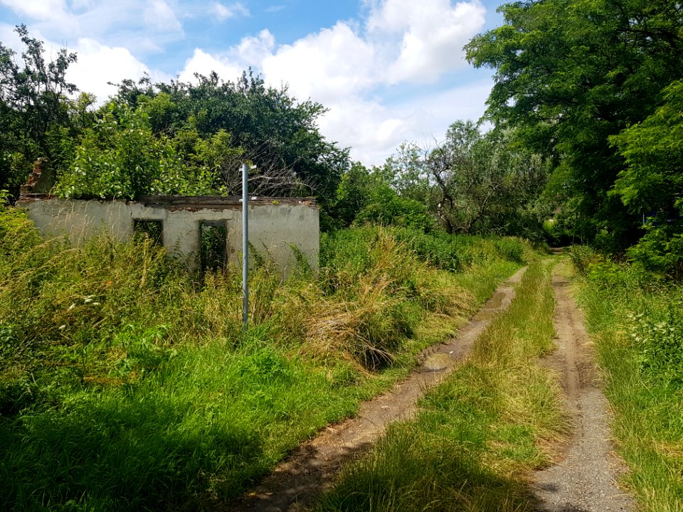 Przejście graniczne Ściborzyce Wielkie-Rohov (2)