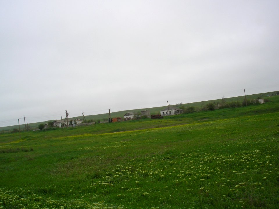 Ptashkino 4