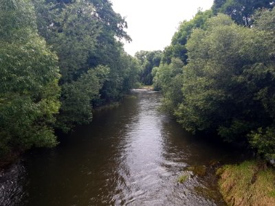 Przejście graniczne Dzierżkowice-Držkovice (3)