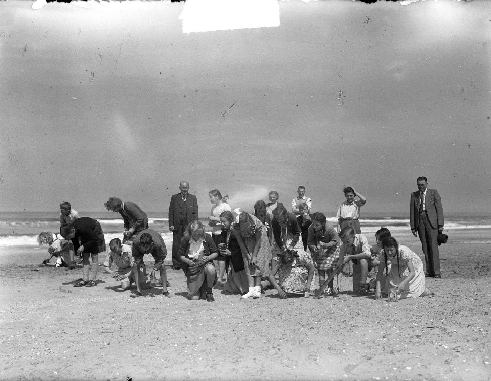 Publiek zoekt naar coloradokevers op het strand van Zandvoort, Bestanddeelnr 903-9788