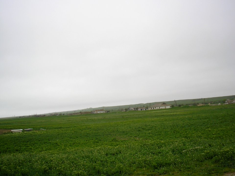 Ptashkino 5