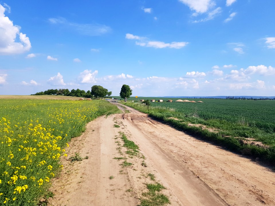 Przejście graniczne Pilszcz-Oldřišov 1