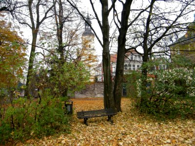PSZCZYNA, AB. 069