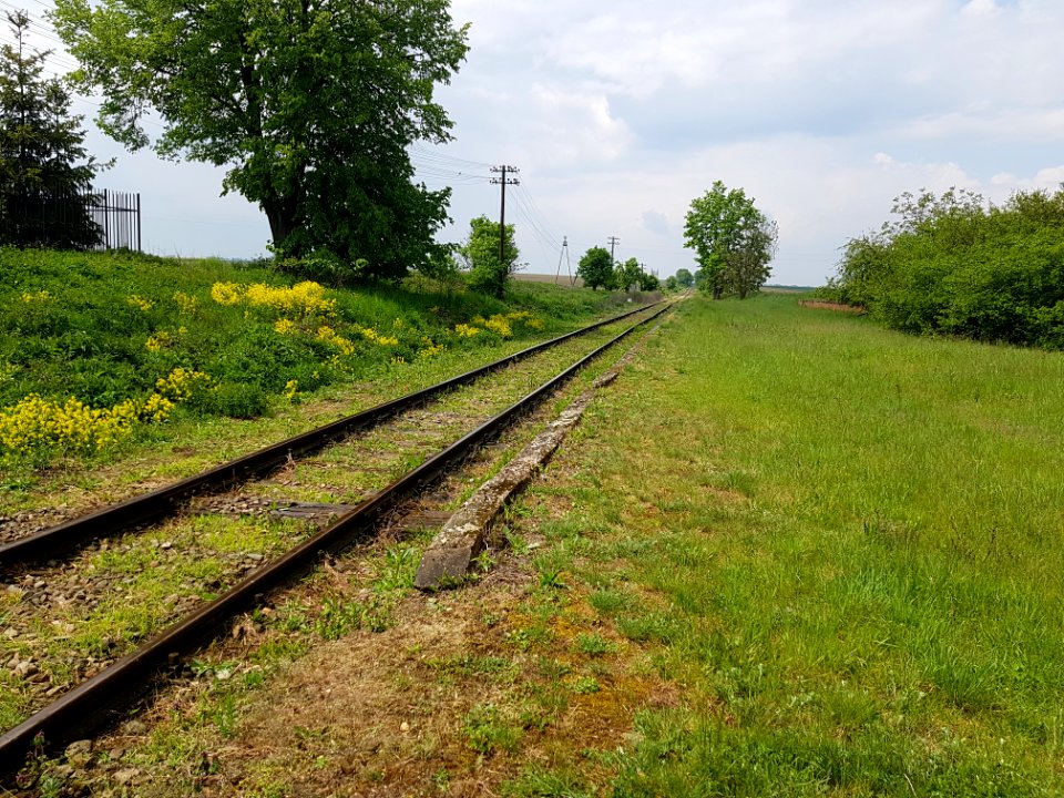Przystanek kolejowy Gródczanki 6