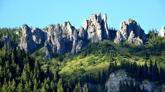 Chochołowska valley landscape michy chochołowski