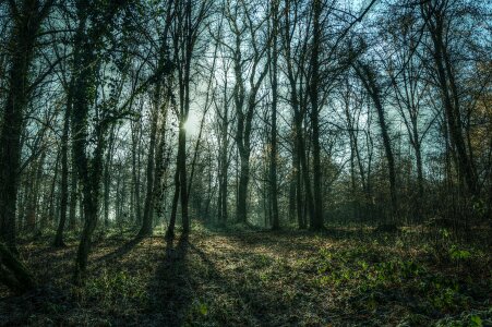 Landscape frost sunshine