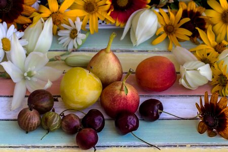 Fruit pears flowers photo