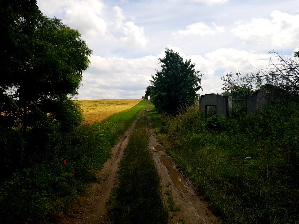 Przejście graniczne Ściborzyce Wielkie-Rohov (5)