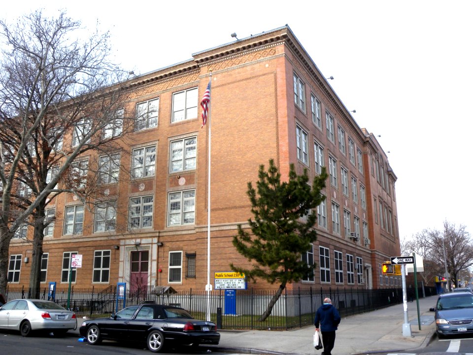 PS230 Doris Cohen Albemarle McDonald jeh