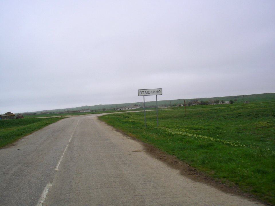 Ptashkino 1