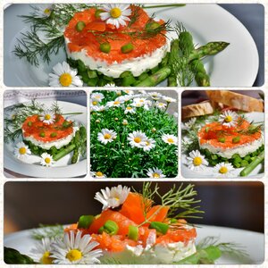 Asparagus salad salmon cream cheese