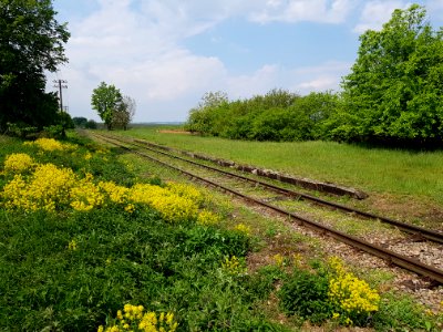 Przystanek kolejowy Gródczanki 1