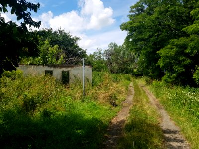 Przejście graniczne Ściborzyce Wielkie-Rohov (1)