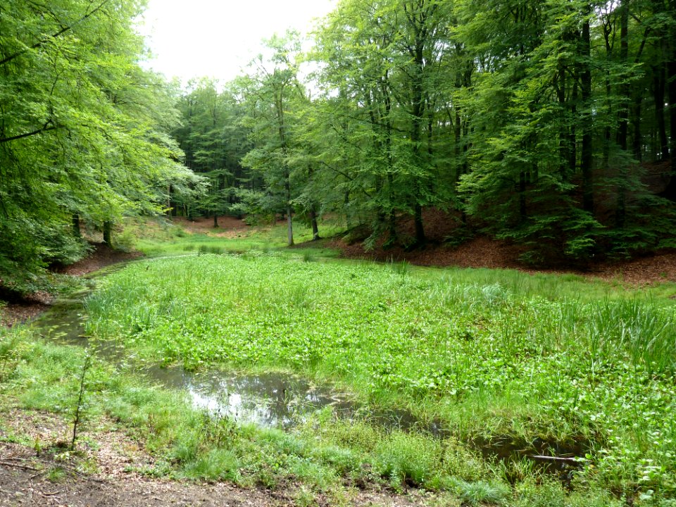 Putten-Solsche Gat (9)