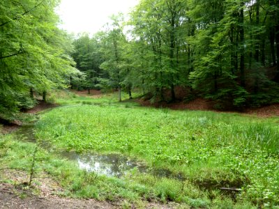 Putten-Solsche Gat (9)