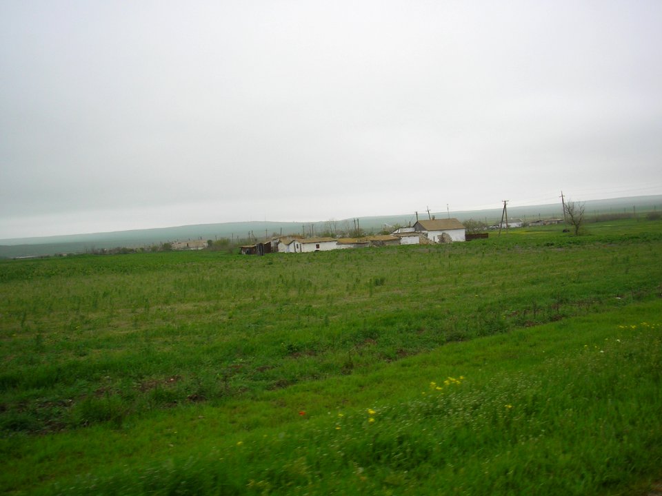 Ptashkino 7