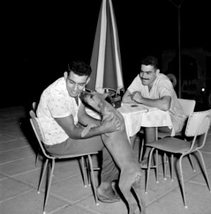 Publiek op een terras van een horecagelegenheid in Eilat Een man laat zich door, Bestanddeelnr 255-3615