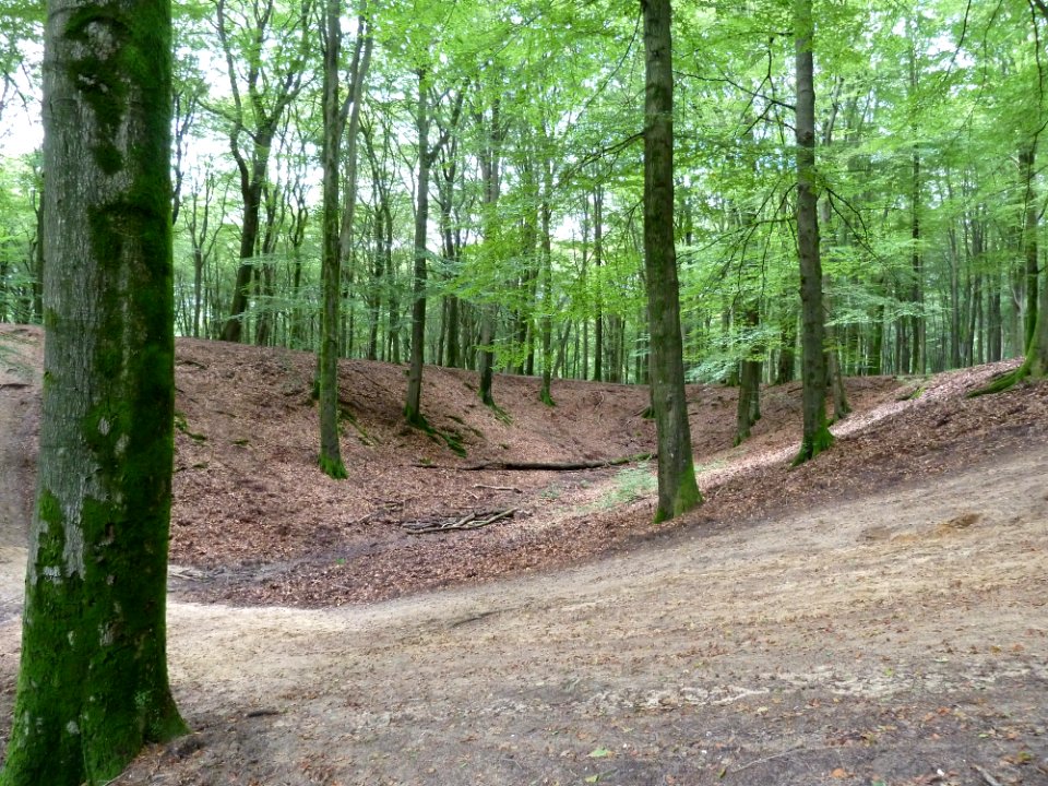 Putten-Solsche Gat (4)