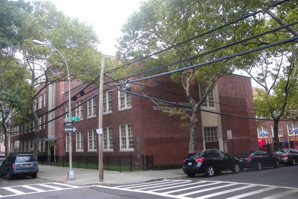 PS175 Lynn Gross Discovery School 64-35 102 St Rego Pk jeh