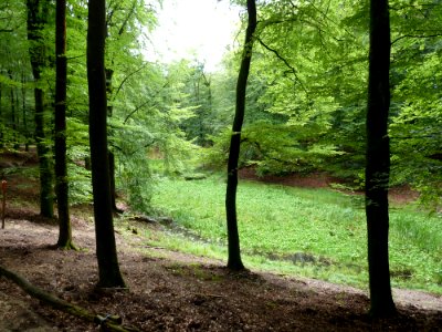 Putten-Solsche Gat (3)