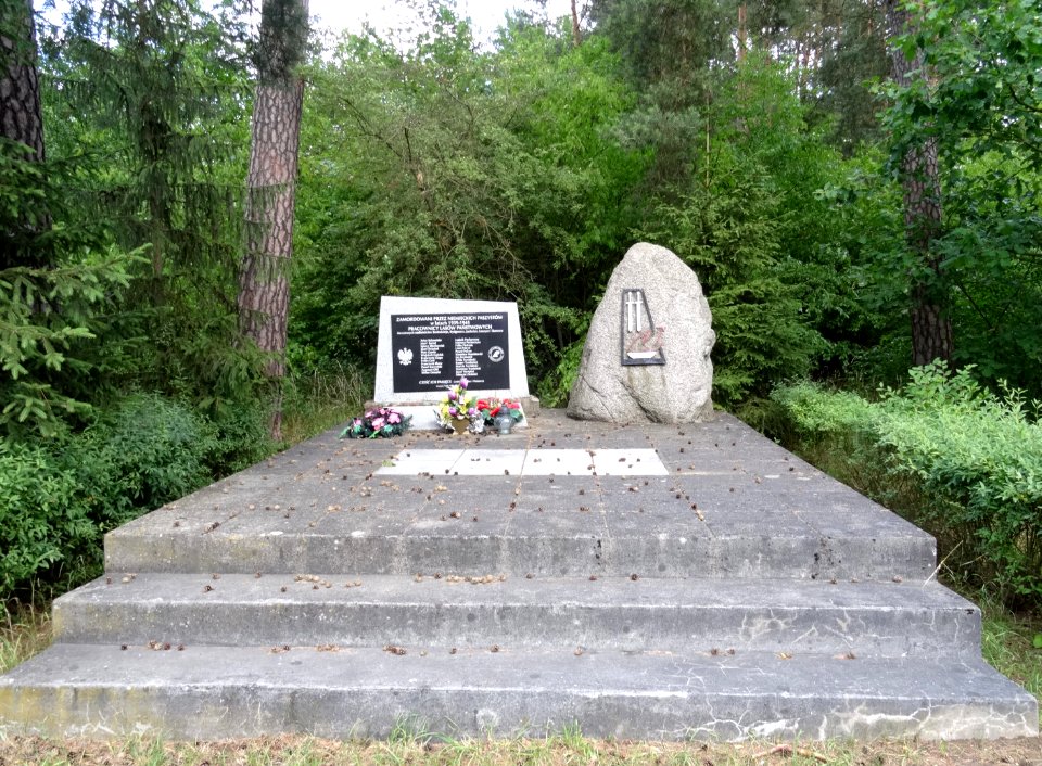 PuszczaBydgoska pomnik k Leszyc 2 7-2015