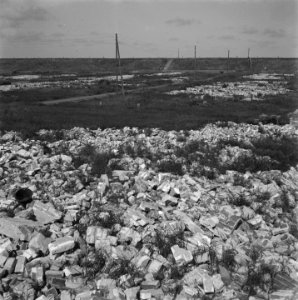 Puin in de duinen bij Petten, Bestanddeelnr 900-5146