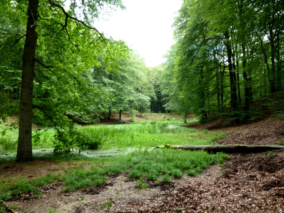 Putten-Solsche Gat (6)