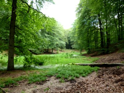 Putten-Solsche Gat (6)