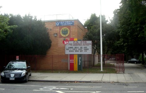 PS 270 Signage View from Dekalb Ave