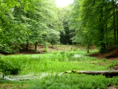 Putten-Solsche Gat (8)