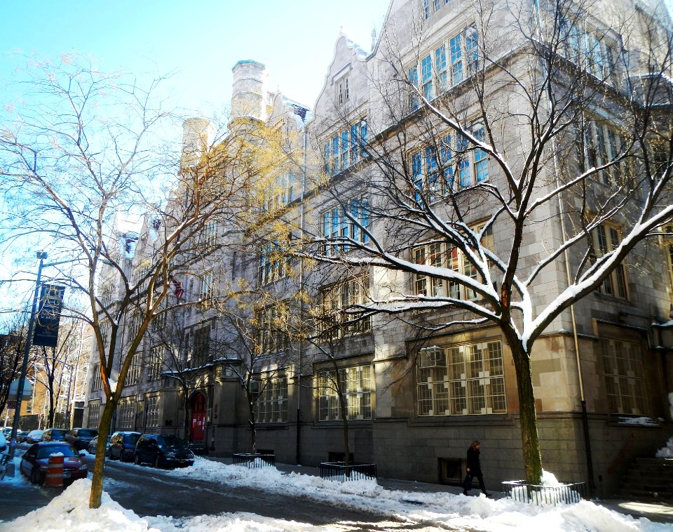 PS 166 W89 shadow snow jeh