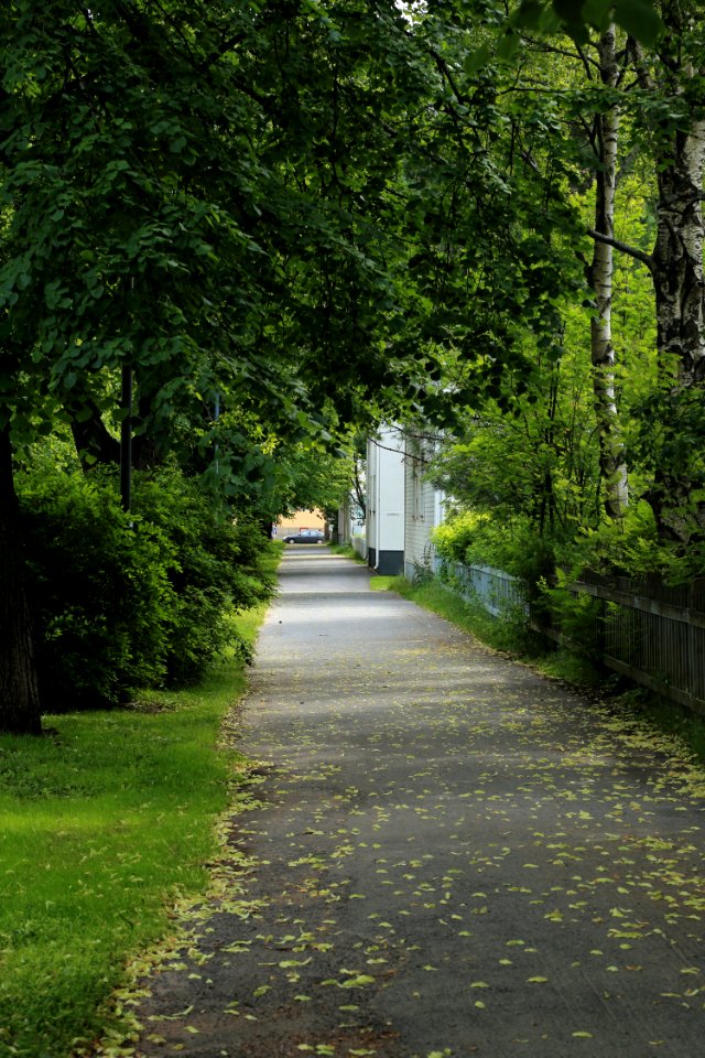 Puistikkokatu Oulu 20170723 02