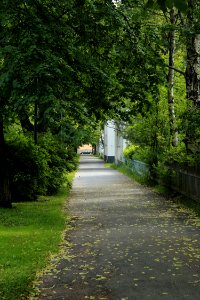 Puistikkokatu Oulu 20170723 02