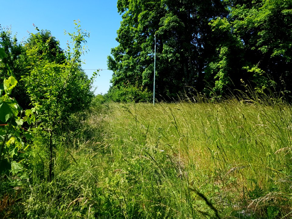 Przystanek Ściborzyce Małe, 2021 (2)